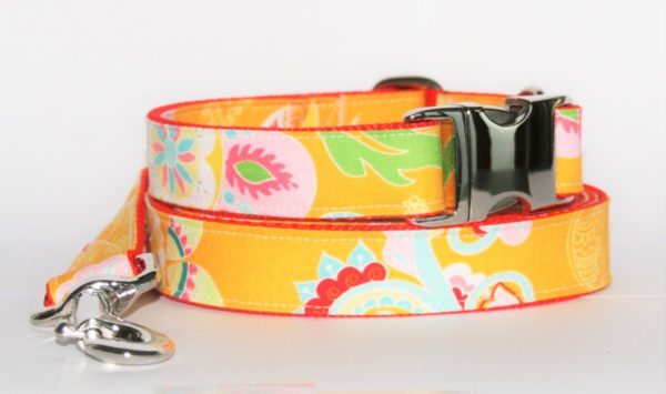 Hundehalsband und Hundeleine orange-grün-rot Dschungel als Set in unterschiedlichen Ausführungen erhältlich