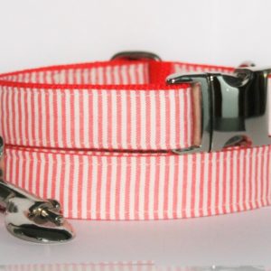 Hundehalsband und Hundeleine Street rot als Set in zwei Ausführungen erhältlich