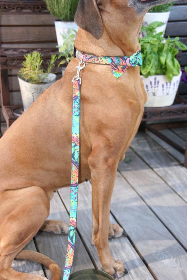 Hundehalsband Flora handgefertigt Set mit abnehmbarer Schleife